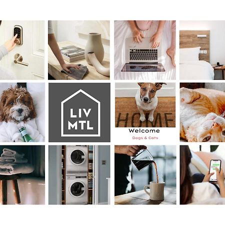 Liv Mtl Soho Aparthotel Montreal Ngoại thất bức ảnh